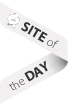 Awwwards
